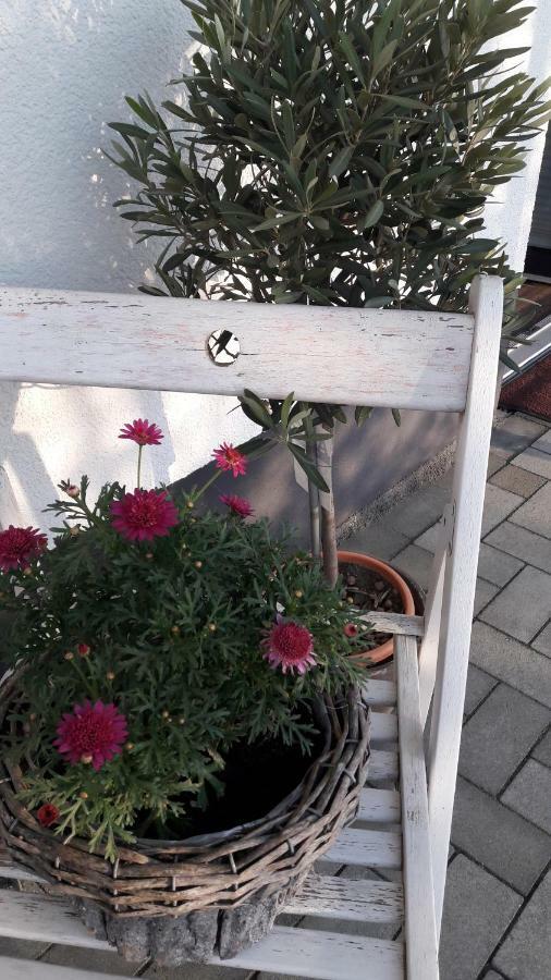 Ferienwohnung Sayntalblick Caan 외부 사진