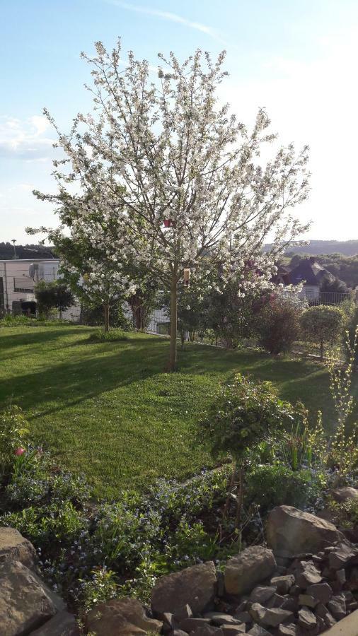 Ferienwohnung Sayntalblick Caan 외부 사진