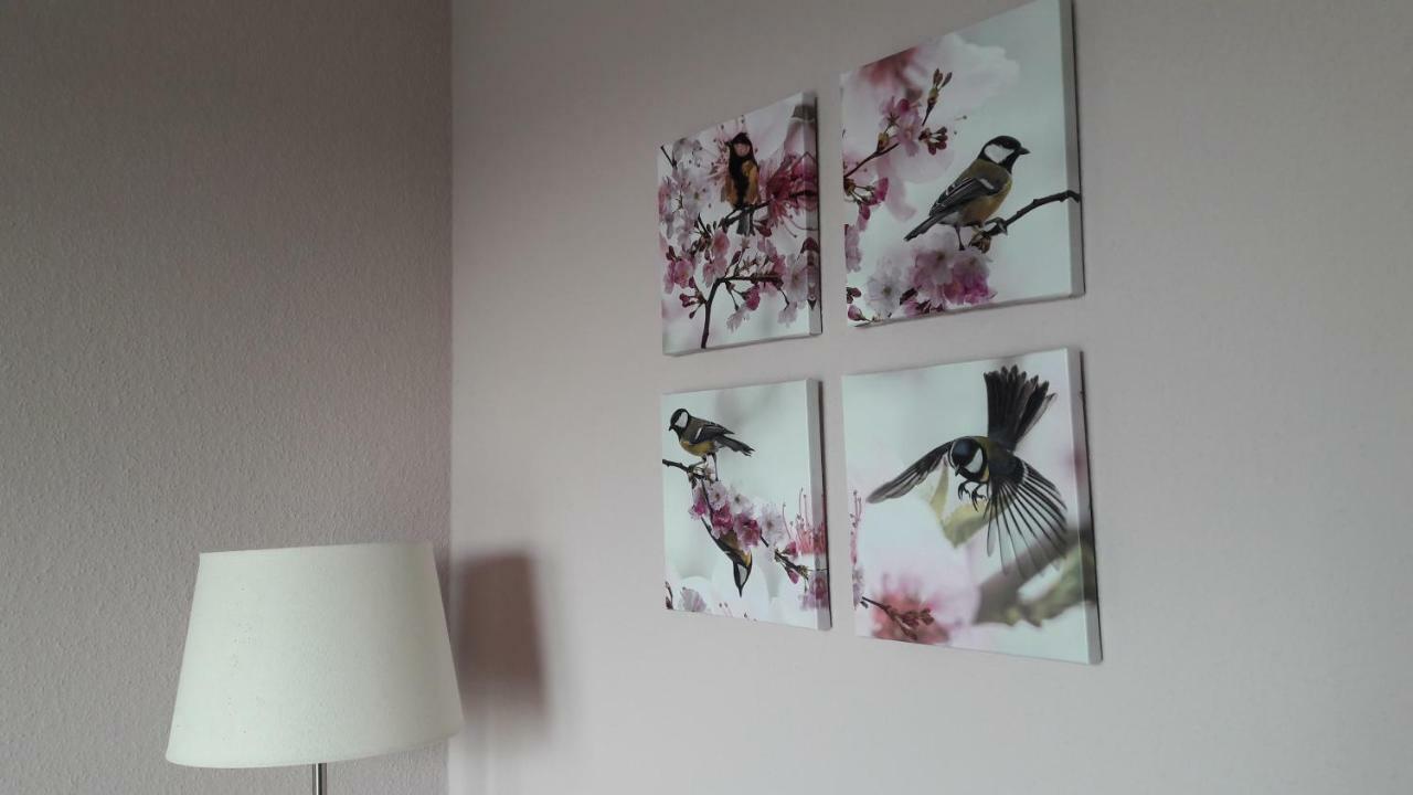 Ferienwohnung Sayntalblick Caan 외부 사진